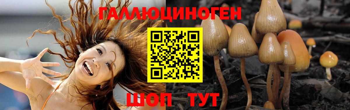 Псилоцибиновые грибы мицелий Ирбит